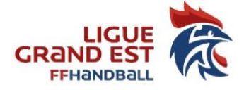 Ligue Grand Est Handball